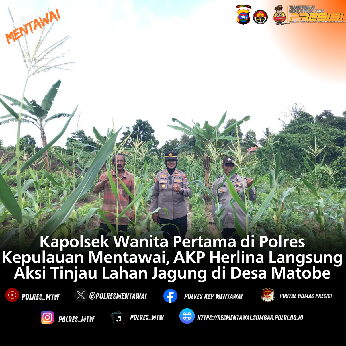 Kapolsek Wanita Pertama di Polres Kepulauan Mentawai, AKP Herlina Langsung Aksi Tinjau Lahan Jagung di Desa Matobe