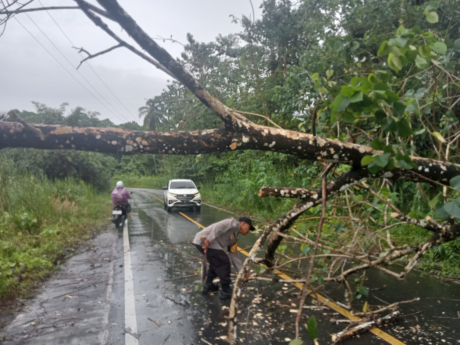 Gerak Cepat Polsek Sipora Polres Kepulauan Mentawai Tangani Pohon Tumbang di Perbatasan Desa Rokot dan Desa Matobek